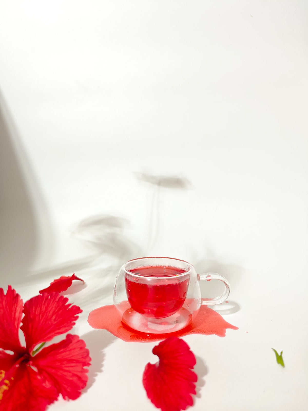 Hibiscus tea with a hibiscus flower