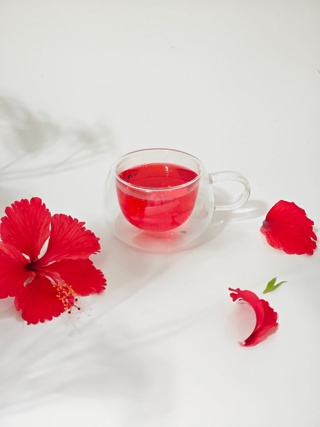 Glass cup of hibiscus tea with fresh hibiscus flowers