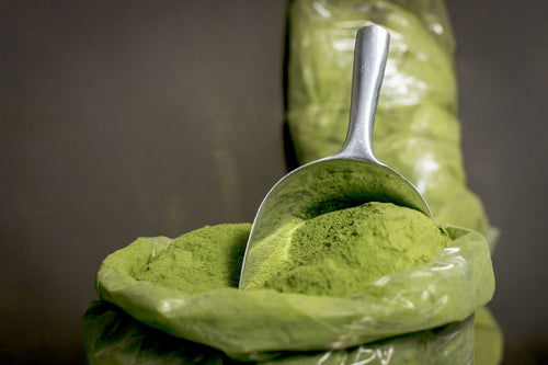 Scoop of fine green powder